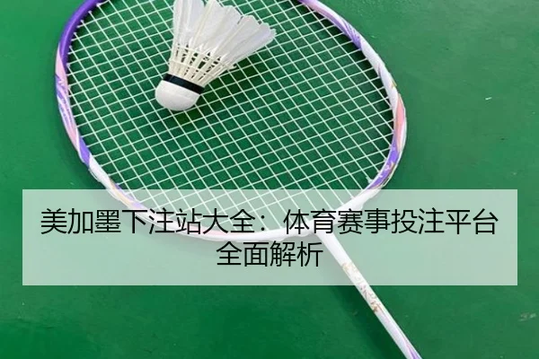 美加墨下注站大全：体育赛事投注平台全面解析