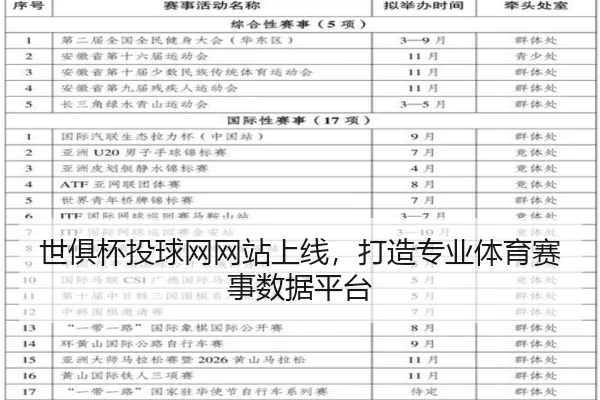 世俱杯投球网网站上线，打造专业体育赛事数据平台