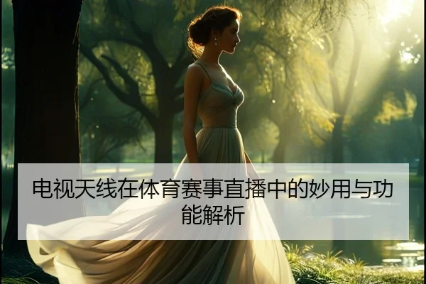 电视天线在体育赛事直播中的妙用与功能解析